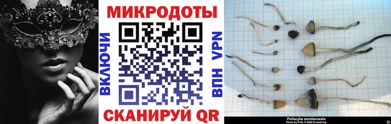blacksprut сайт  где купить наркотик  Карабаш  Псилоцибиновые грибы мухоморы 