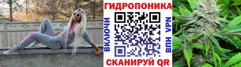 закладки Карабаш Конопля планчик